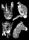 Vector set of animals isolated on black background, African collection elements Royalty Free Stock Photo