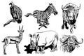 Vector set of animals isolated on white background, African collection elements Royalty Free Stock Photo