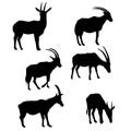 Vector set of antelopes Royalty Free Stock Photo