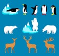 Vector set Arctic and Antarctic animals. Penguin, polar bear, reindeer. Royalty Free Stock Photo