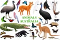 Vector set of Australian animals, birds, reptiles, insects and reptiles.