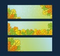 Vector set of autumn banners. Three templates for your design. Various bright fall leaves and hand-lettering. There are