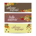 Vector set of autumn banners. Three templates for your design. Various bright fall leaves and hand-lettering. There are places for