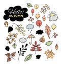 Vector set of autumn drawings. Contour and color - various leaves and branches, berries and acorns, the sun and clouds