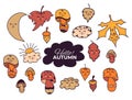 Vector set of autumn drawings. Cute and funny different colored leaves and mushrooms, acorn, moon and clouds with cute