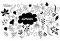 Vector set of autumn drawings. outline and silhouette. Doodle of various leaves and berries and text. Set of elements