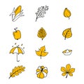 Vector set of autumn icons. Collection of doodle elements of cozy autumn season. Autumn postcard. Vector illustration