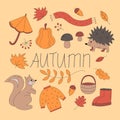 Vector set of autumn icons - sweater, falling leaves, cute hendgehog and squirrel. Scrapbook collection of fall season Royalty Free Stock Photo