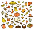 Vector set of autumn icons in yellow-orange colors. hand-drawn in doodle style autumn insulated pumpkin, leaves, mushrooms and Royalty Free Stock Photo