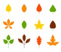 Vector set of autumn leaves isolated on white background. Cartoon leaf collection in flat style. Vector illustration Royalty Free Stock Photo