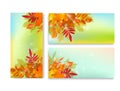 Vector set. Banner, template with autumn, colorful leaves. Element for modern design Royalty Free Stock Photo