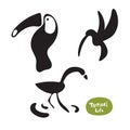 Vector set beautiful exotic birds of the Amazon rain forest. Toucan, hummingbird and flamingo doodle isolated silhouettes on white Royalty Free Stock Photo