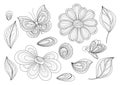 Vector Set of Beautiful Monochrome Floral Design Elements with Insects Royalty Free Stock Photo