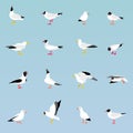 Vector set of beautiful seagulls. Royalty Free Stock Photo