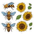 Vector set with bees and sunflowers. Hand drawn illustration