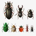 Vector set of beetles Royalty Free Stock Photo