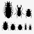 Vector set of beetles Royalty Free Stock Photo