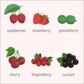 Vector set of berries.