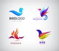 Vector set of birds logos, phoenix icons isolated.