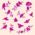 Vector set of birds and twigs