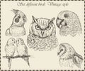 Vector set: birds - variety of vintage bird