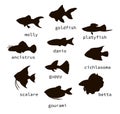 Vector set of black aquarium fish silhouettes with text Royalty Free Stock Photo