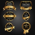 Vector set black gold Royalty Free Stock Photo