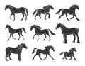 Vector set of black horse breeds