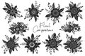 Vector set of black and white floral compositions from hand drawn flowers and leaves isolated on white background. Cutting bouquet Royalty Free Stock Photo
