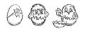 Vector set of black and white grunge sketches of nestlings in eggshell