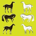 Vector set of black and white horses silhouettes Royalty Free Stock Photo