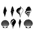 A vector set of black and white shell icons showcases a seamless nature pattern with seashell silhouettes Royalty Free Stock Photo