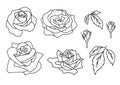 Vector set of blooming Rose outline petal, flower and leaves on white Royalty Free Stock Photo