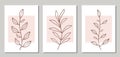 Set of botanical art lines