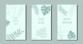 Set of botanical art lines on abstract backgrounds