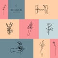Vector set of botanical illustrations in minimal linear style