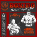 Vector Set - Boxing World Champion Labels and Icons