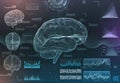 vector set of brain research interfaces. functional magnetic resonance imaging. hud in blue tones Royalty Free Stock Photo