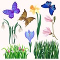 Vector set of bright-colored blooming flowers and butterflies. Long green grass. Beautiful flying insect. Spring theme Royalty Free Stock Photo