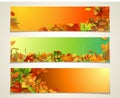 Vector set of bright horizontal fall banners.