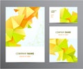 Vector set of brochure, business card, cover, flyer design with triangle origami 3d corporate business template. Layout Royalty Free Stock Photo