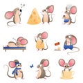 Vector set of brown mice in different poses and images Royalty Free Stock Photo