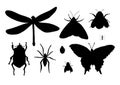 Vector set bundle of black insects silhouette Royalty Free Stock Photo