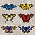 Vector set with butterflies Royalty Free Stock Photo