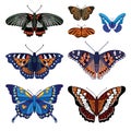 Vector set with butterflies Royalty Free Stock Photo