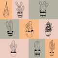 Vector set of cactus illustrations in minimal linear style, hand drawn cacti in pots