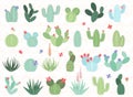 Vector Set of Cactus and Succulent Plants