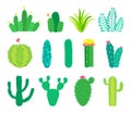 Vector set of cactuses and succulents