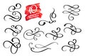 Vector set of calligraphic design flourish elements and page decorations. Elegant collection of hand drawn swirls and Royalty Free Stock Photo