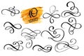 Vector set of calligraphic design flourish elements Royalty Free Stock Photo